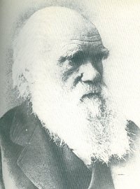 Bild på Darwin